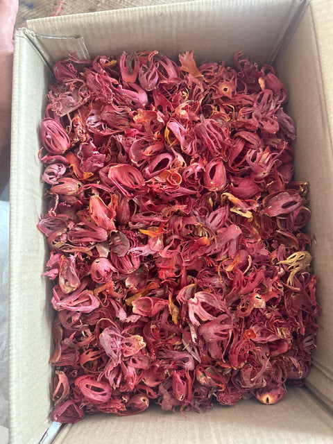 Mace | Japatri | Indian Javantri