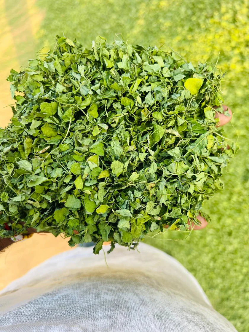 Kasuri Methi | Kasturi Methi | 50g | 100g | 250g | 500g | 1kg