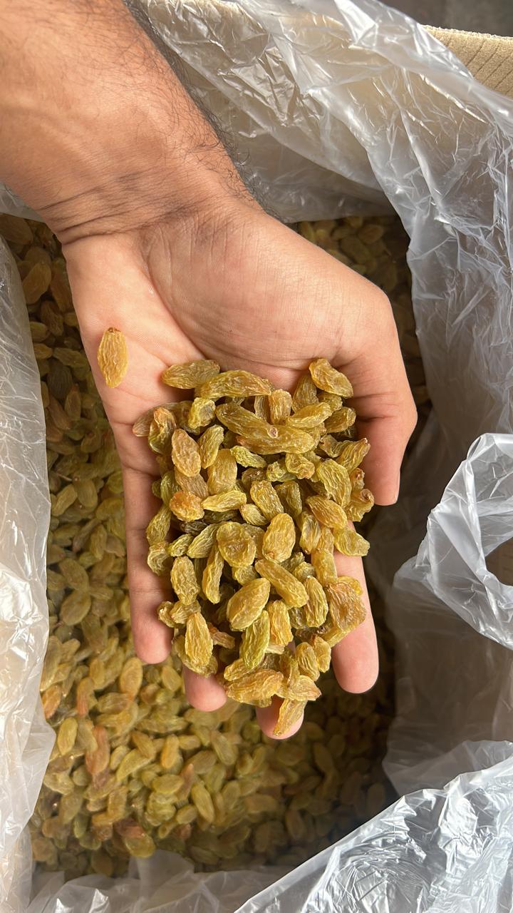Dry Grapes | Indian Kismis | Raisins | 10 kgs box