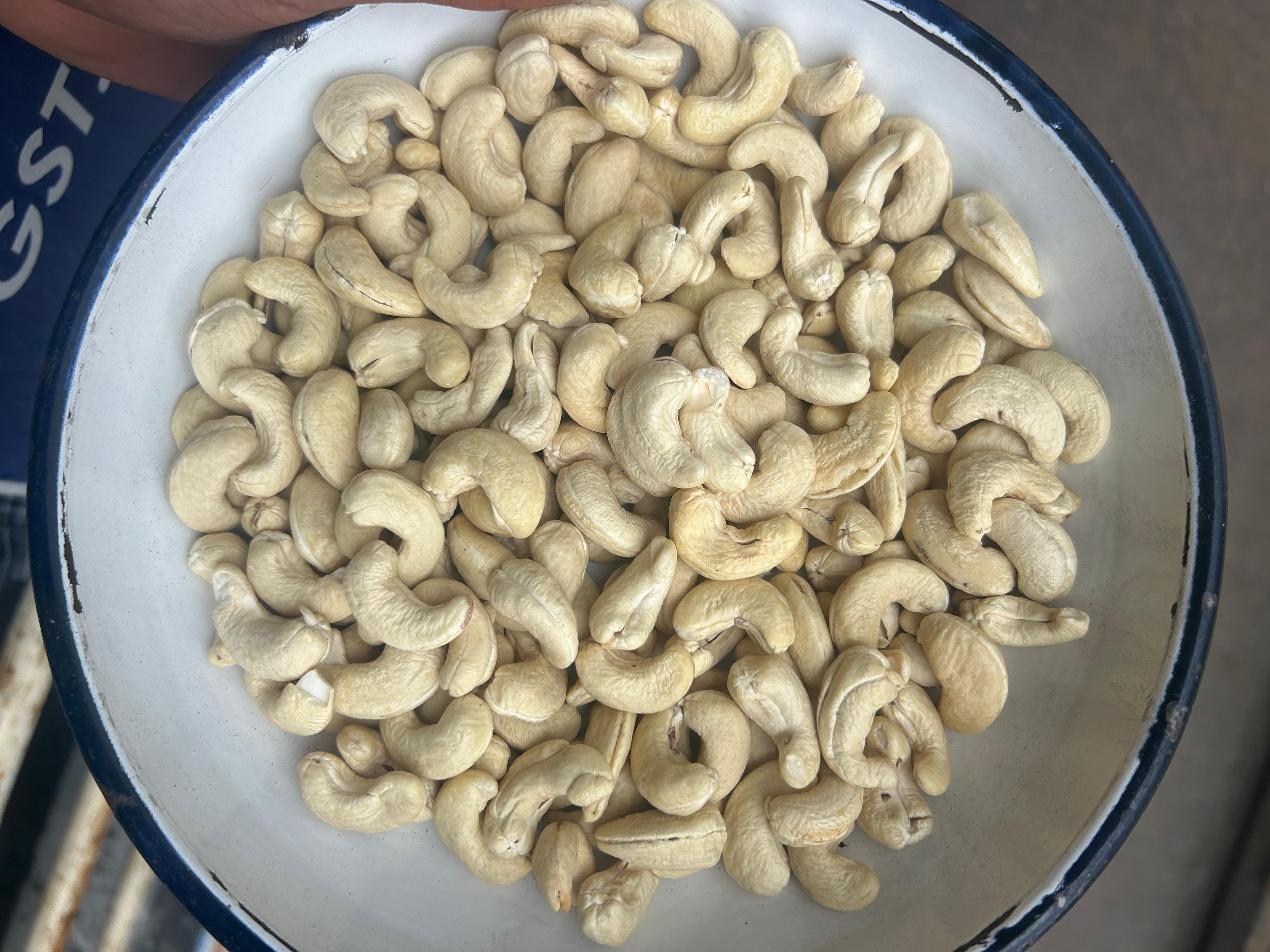 Cashew | Kaju | Size 180 | Bold Cashew 10kg