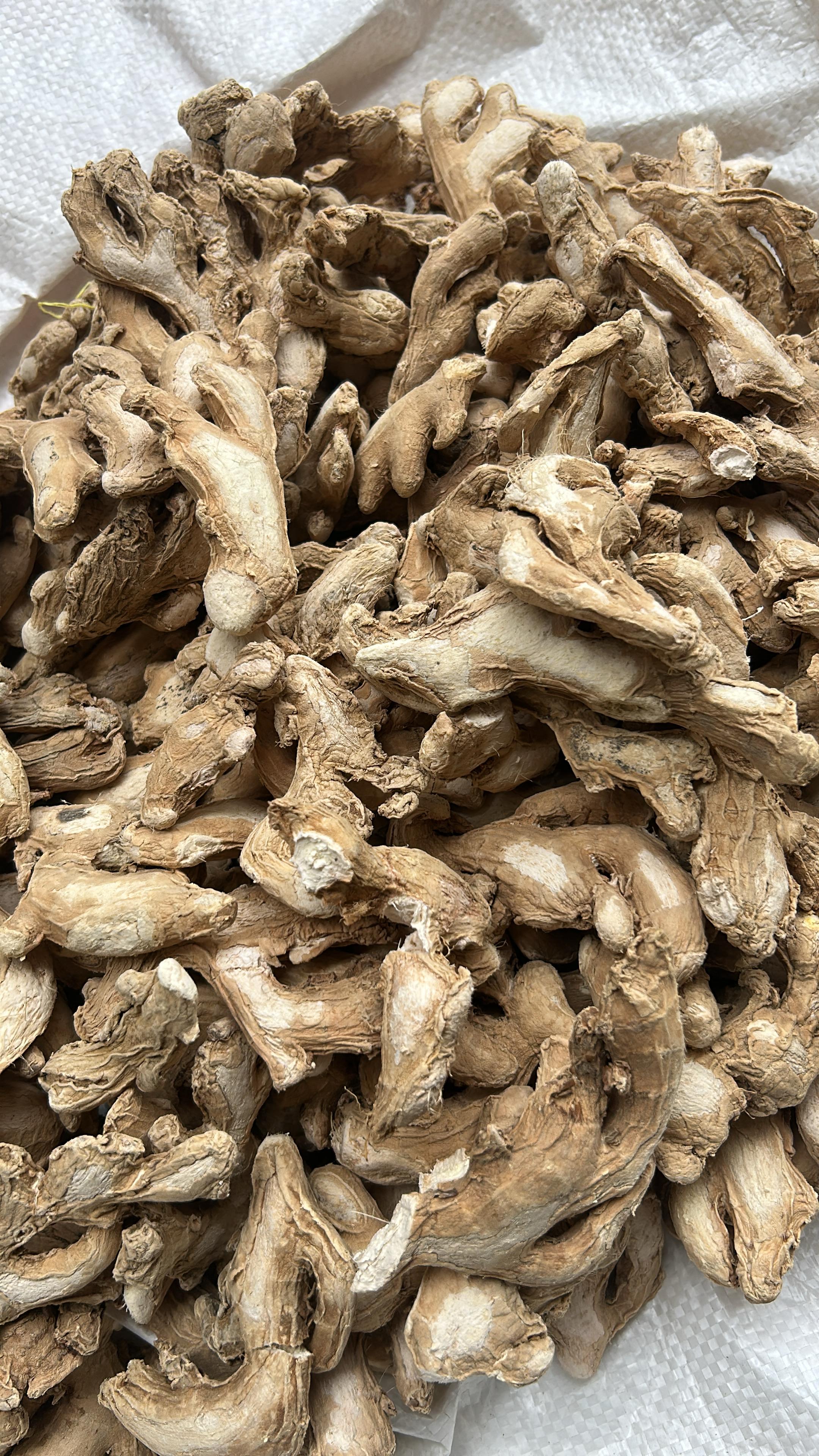 Dry Ginger || 100g | 250g | 500g | 1kg