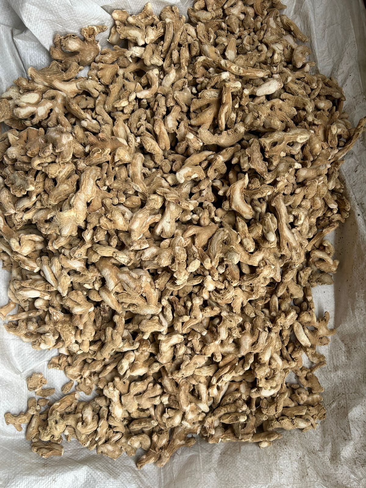 Dry Ginger | Sunti 30 kgs