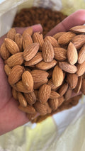 Hand holding a handful of almonds with a blurred background