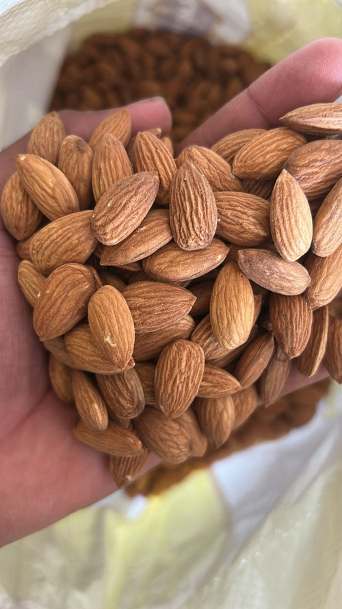 Hand holding a handful of almonds with a blurred background