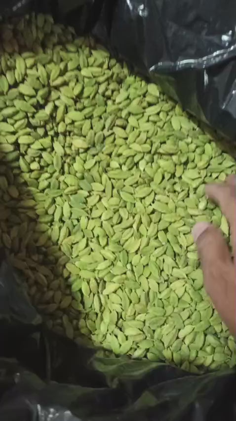 Cardamom | Elaichi | Green Elaichi Extra bold
