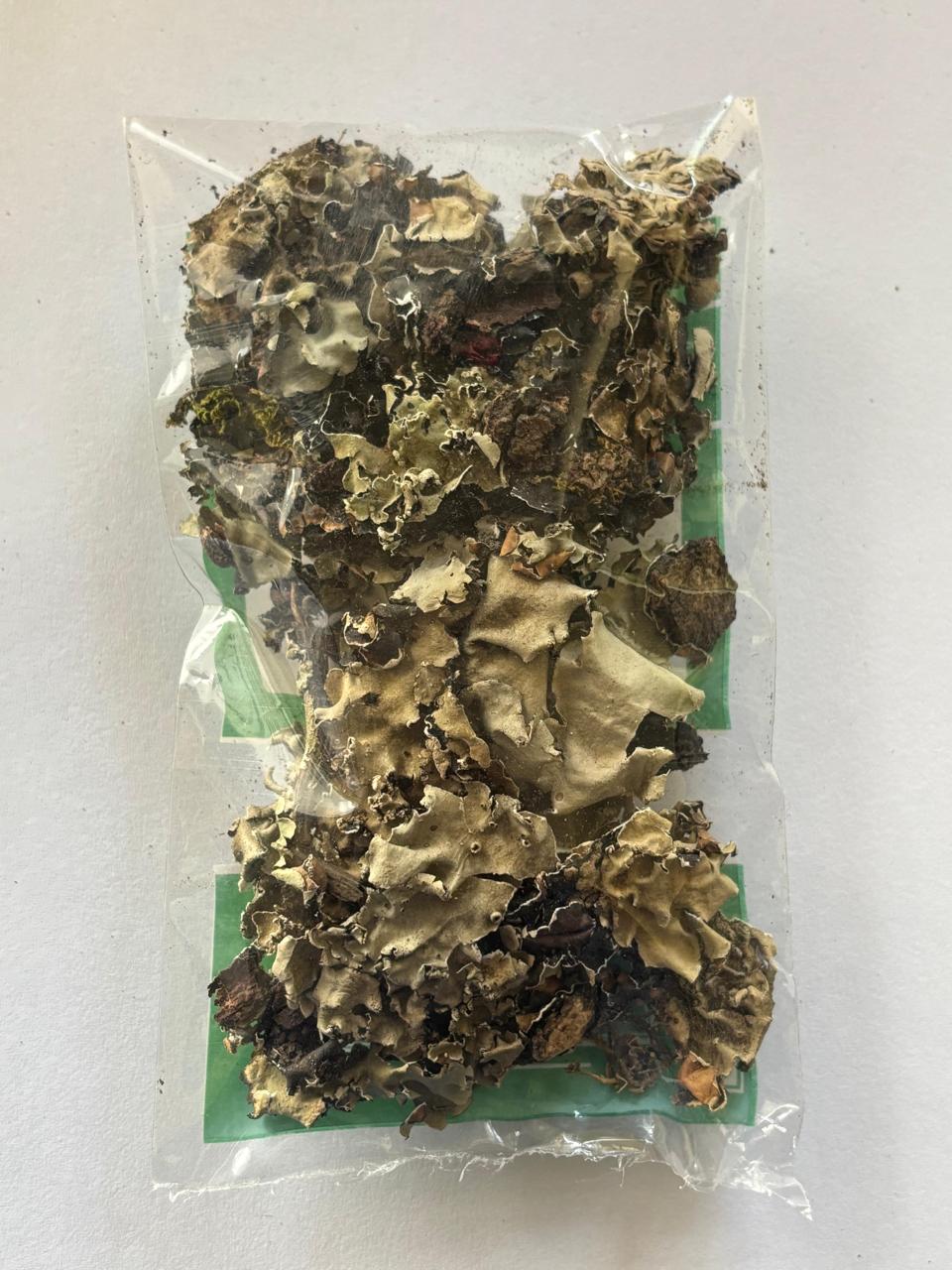 kalua | dagad fool | stone flower