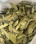 tejpatta